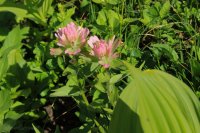 IMG_7777.JPG IMG_7777.JPG