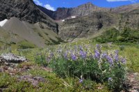 IMG_7866.JPG IMG_7866.JPG