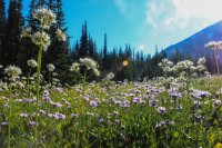 IMG_7926.JPG IMG_7926.JPG