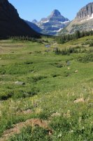 IMG_7953.JPG IMG_7953.JPG