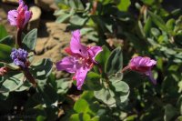 IMG_7961.JPG IMG_7961.JPG