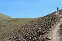 IMG_7965.JPG IMG_7965.JPG