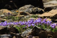 IMG_7977.JPG IMG_7977.JPG