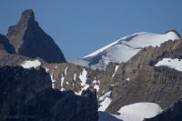 IMG_8089.JPG IMG_8089.JPG