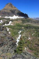 IMG_8113.JPG IMG_8113.JPG