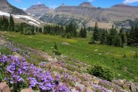 IMG_8147.JPG IMG_8147.JPG