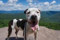 image.jpeg image.jpeg