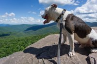 image.jpeg image.jpeg