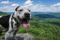 image.jpeg image.jpeg