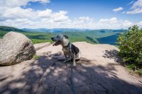 image.jpeg image.jpeg