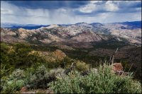 IMG_7286.jpg IMG_7286.jpg