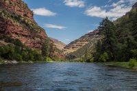 green-abc-7-2016-1600-15.jpg green-abc-7-2016-1600-15.jpg