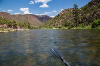 green-abc-7-2016-1600-20.jpg green-abc-7-2016-1600-20.jpg