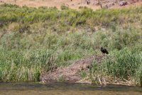 green-abc-7-2016-1600-21.jpg green-abc-7-2016-1600-21.jpg