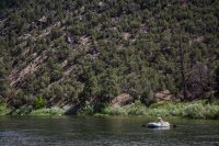 green-abc-7-2016-1600-25.jpg green-abc-7-2016-1600-25.jpg