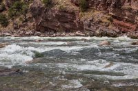 green-abc-7-2016-1600-30.jpg green-abc-7-2016-1600-30.jpg