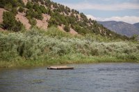 green-abc-7-2016-1600-35.jpg green-abc-7-2016-1600-35.jpg