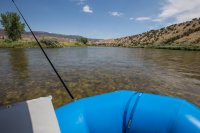 green-abc-7-2016-1600-41.jpg green-abc-7-2016-1600-41.jpg