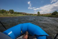 green-abc-7-2016-1600-45.jpg green-abc-7-2016-1600-45.jpg