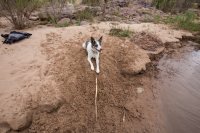 green-abc-7-2016-1600-47.jpg green-abc-7-2016-1600-47.jpg