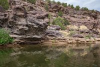 green-abc-7-2016-1600-52.jpg green-abc-7-2016-1600-52.jpg