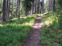 20160807_161248.jpg 20160807_161248.jpg