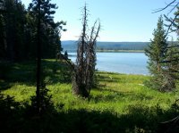 20160808_100150.jpg 20160808_100150.jpg