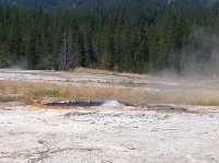 20160808_110437.jpg 20160808_110437.jpg