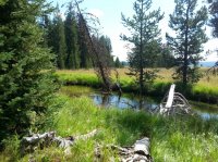 20160808_112624.jpg 20160808_112624.jpg