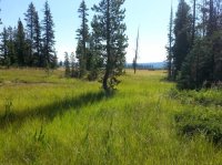 20160808_111447.jpg 20160808_111447.jpg