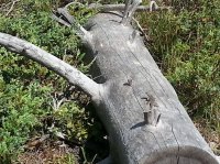 20160808_113858.jpg 20160808_113858.jpg