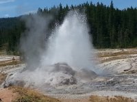 20160808_122844.jpg 20160808_122844.jpg