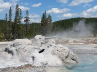 20160808_121201.jpg 20160808_121201.jpg