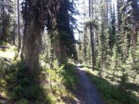 20160809_110651.jpg 20160809_110651.jpg