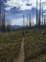 IMG_1502.JPG IMG_1502.JPG