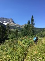 IMG_1604.JPG IMG_1604.JPG