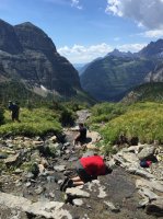 IMG_1633.JPG IMG_1633.JPG