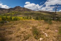 _MG_0953.jpg _MG_0953.jpg