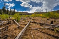 _MG_0967.jpg _MG_0967.jpg