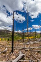 _MG_0973.jpg _MG_0973.jpg