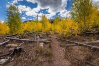 _MG_0976.jpg _MG_0976.jpg