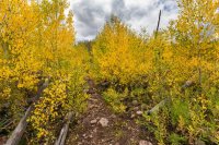 _MG_0981.jpg _MG_0981.jpg