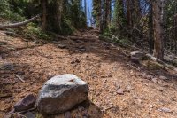 _MG_0991.jpg _MG_0991.jpg