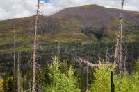 _MG_0993.jpg _MG_0993.jpg