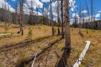 _MG_0999.jpg _MG_0999.jpg