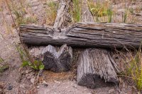 _MG_1022.jpg _MG_1022.jpg