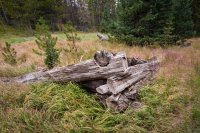 _MG_1037.jpg _MG_1037.jpg