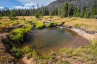 _MG_1054.jpg _MG_1054.jpg