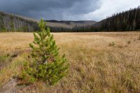 _MG_1064.jpg _MG_1064.jpg