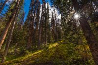 _MG_1074.jpg _MG_1074.jpg